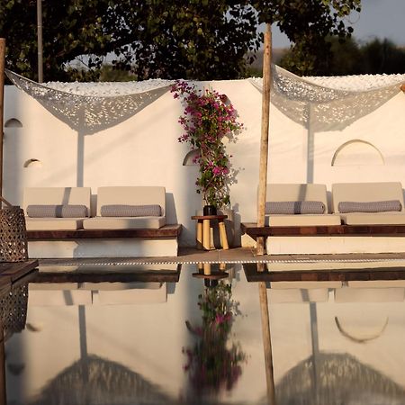 Gardelli Resort Laganas Dış mekan fotoğraf